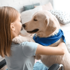 A dog being hugged by a child indoors