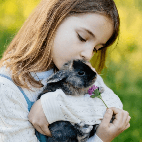 Young girl holding a black and white rabbit and a flower
